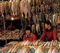  Shimonoseki Fish Market
